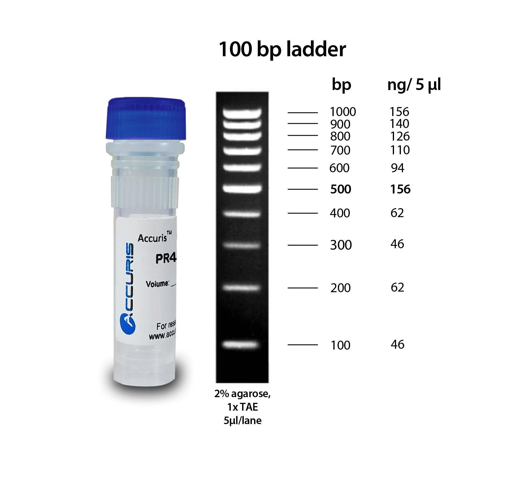 Accuris PR4010-500 SmartCheck 100bp DNA Ladder, 5 x 500ul / 500 lanes