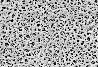 sartorius 11106--90------G Cellulose Acetate Membrane Filters / Type 11106, 0,45µm, 90mm (Pack of 25)