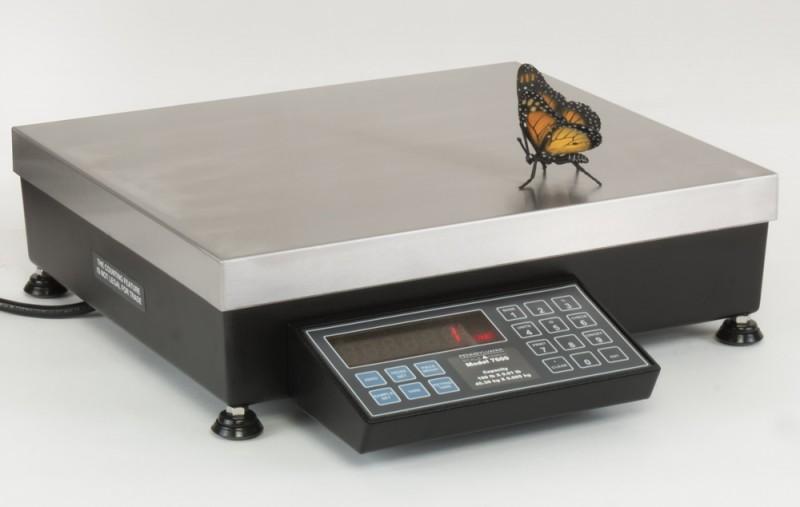 Pennsylvania Scale Company 7600-150 DC, 150 x 0.02 lb, Standard 7600 Count Weigh Scale With Built In Rechargeable Battery Option - 4 Year Warranty