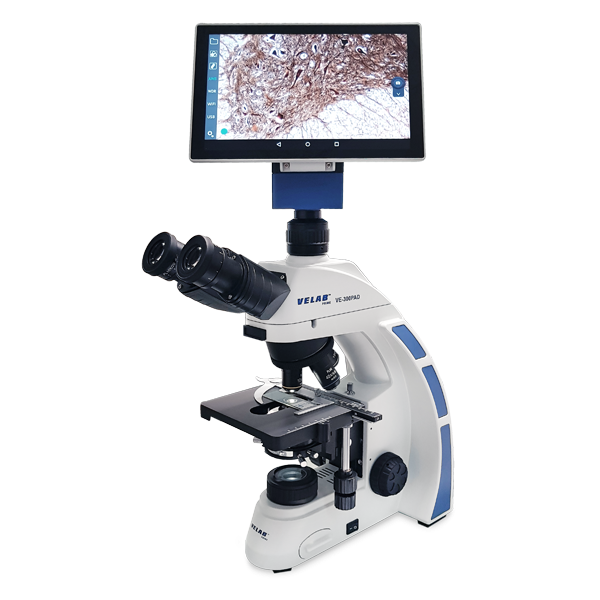 Velab VE-300PAD Biological Binocular Microscope with 10.1" Integrated Tablet and 4.0 MP Digital Camera - 10 Year Warranty