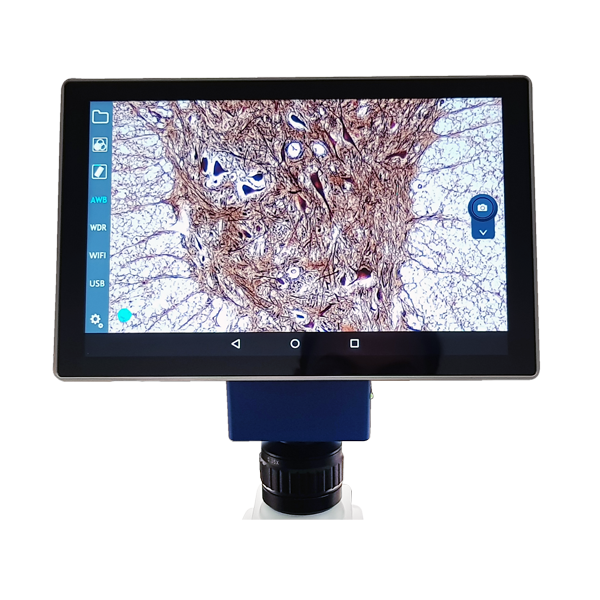 Velab VE-SCOPEPAD 300 10.1" Tablet with Integrated 5.0 MP Camera, USB, mini USB y HDMI ports for Prime Microscopes