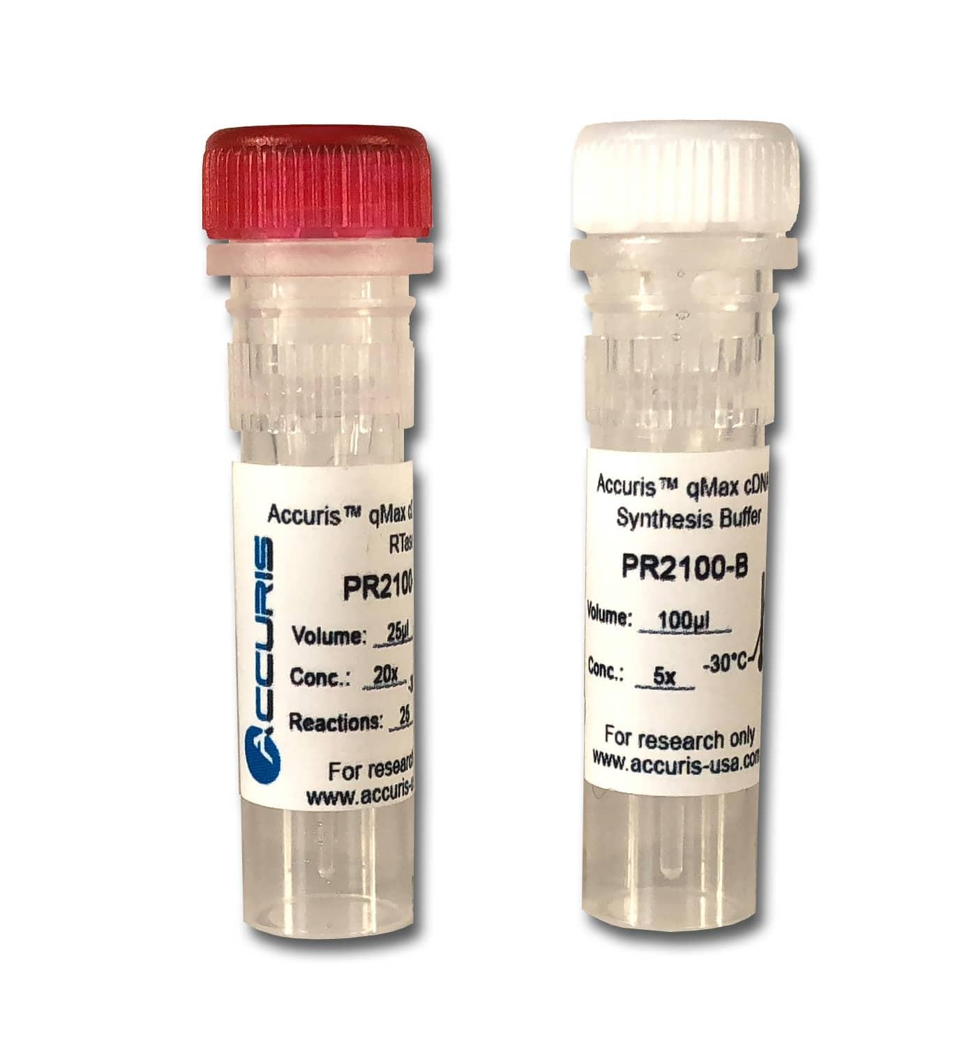 Accuris PR2100-C-S qMax cDNA Synthesis Kit, sample, 5 reactions